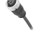 21349700496075 Ethernet Cables / Networking Cables
