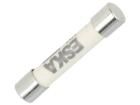 632408  Circuit Protection