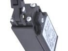 PAP1T31PZ11 Limit Switches