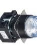LB1P-2T04PW Industrial Panel Mount Indicators / Switch Indicators