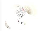 RWL-01  Embedded Solutions