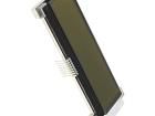RX2002A-FHW-TS LCD Character Display Modules & Accessories