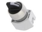 704.413.0I Switch Actuators