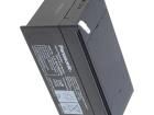 LC-R123R4PG Sealed Lead Acid Battery