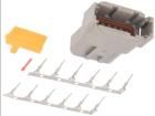 S-DTM 04-12 PA  Connectors