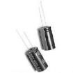 SE050M0100B3F-0811 Aluminium Electrolytic Capacitors - Radial Leaded