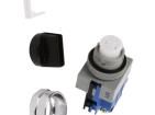 ASW210 Pushbutton Switches
