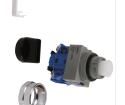 ASW220 Pushbutton Switches