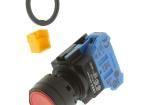HW1B-M1F10-R Pushbutton Switches