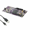 SK-FM4-176L-S6E2CC electronic component of Infineon