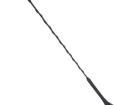 7677876 Radio Car Antennas