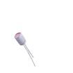 8101LCMAA08E2RR00O Aluminium Organic Polymer Capacitors