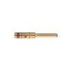 81541-16  Tools & Supplies
