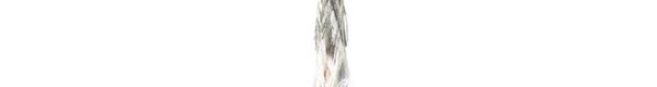 8422-CHR-500 Multi-Conductor Cables