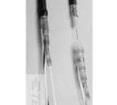 D-181-2226-909 Solder Sleeves & Shield Tubing