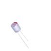 8681LBM0809E2RR00O Aluminium Organic Polymer Capacitors