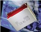 FMA6E0123K02L  Passive Components