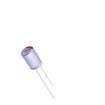 8821LCM0812E2RR00O Aluminium Organic Polymer Capacitors