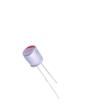 8821LJM0809E2RR00O Aluminium Organic Polymer Capacitors