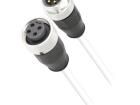 21349697495003 Ethernet Cables / Networking Cables