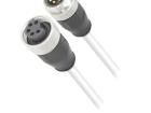 21349697597015 Ethernet Cables / Networking Cables