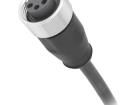 21349700598075 Ethernet Cables / Networking Cables