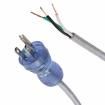 232003-06  Wire & Cable
