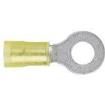 PN10-14R Terminals