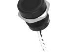 PS165P10Y21W12V Control Switches