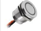 PS193P10Y01O12VT  Electromechanical