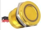 PS193P10Y31R24VT  Electromechanical