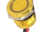 PS193P10Y31R24VT Control Switches