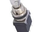 PS24212P Pushbutton Switches