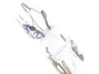2721 LED Lighting Drivers