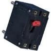 LELB1-1-51-60.0-1-01-V  Circuit Protection