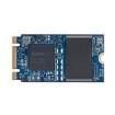 APM2T42SM22256GFN-4FTMGW Solid State Drives - SSD