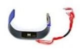 AS7024-WRISTBAND  Sensors