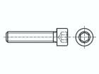 1004883  Tools & Supplies