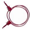 BU-1010-A-24-2 Test Leads