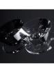 CA13546_EMILY-RS LED Lighting Lenses Assemblies