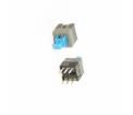BS701L Pushbutton Switches