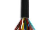 850008 100M Multi-Conductor Cables