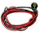 T010319  Optoelectronics