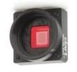 106690  Optoelectronics