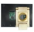 CYBLE-224110-PROG electronic component of Infineon