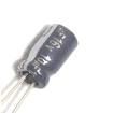 ECE-A1CKG100 Aluminium Electrolytic Capacitors - Radial Leaded