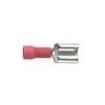 EDV18-250B-Q Terminals
