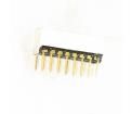 DS16C-2-4 Slide Switches