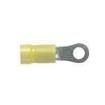 EV10-10RB-Q Terminals
