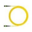 F9TRL5N5NANM050 Fibre Optic Cable Assemblies